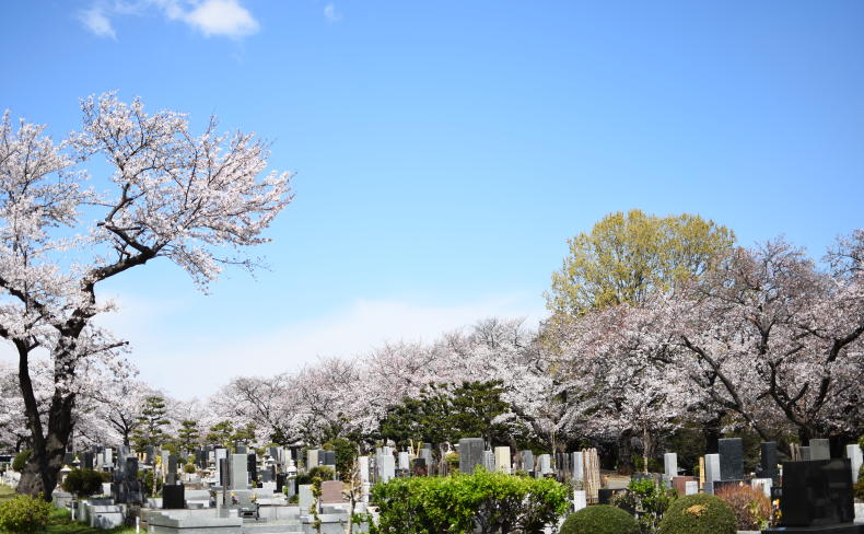 札幌近郊の墓地